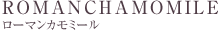 ローマンカモミール