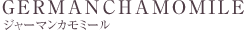 ジャーマンカモミール