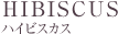 ハイビスカス