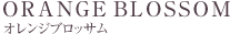 オレンジブロッサム